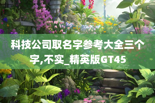 科技公司取名字参考大全三个字,不实_精英版GT45