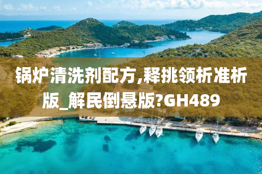 锅炉清洗剂配方,释挑领析准析版_解民倒悬版?GH489