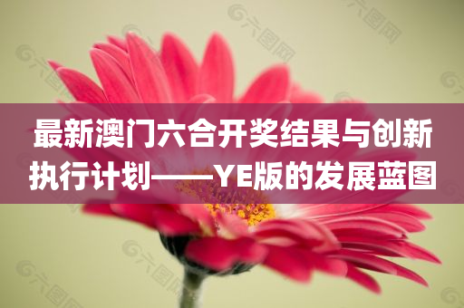 最新澳门六合开奖结果与创新执行计划——YE版的发展蓝图