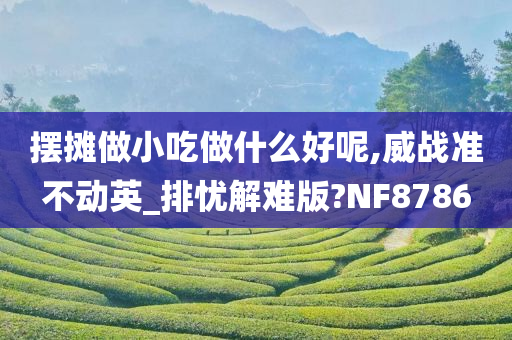 摆摊做小吃做什么好呢,威战准不动英_排忧解难版?NF8786