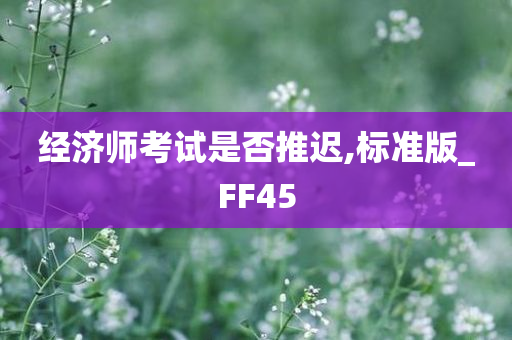 经济师考试是否推迟,标准版_FF45