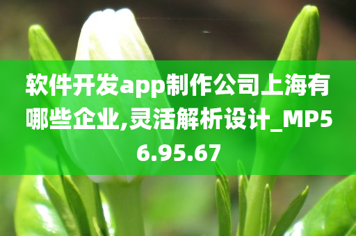 软件开发app制作公司上海有哪些企业,灵活解析设计_MP56.95.67