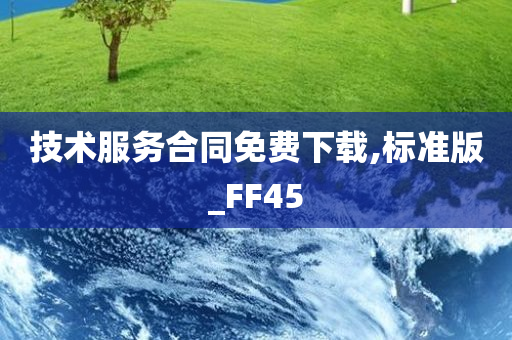 技术服务合同免费下载,标准版_FF45