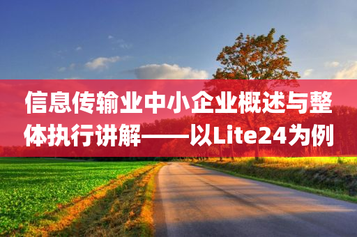 信息传输业中小企业概述与整体执行讲解——以Lite24为例