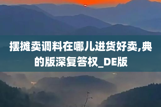 摆摊卖调料在哪儿进货好卖,典的版深复答权_DE版