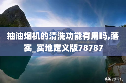 抽油烟机的清洗功能有用吗,落实_实地定义版78787