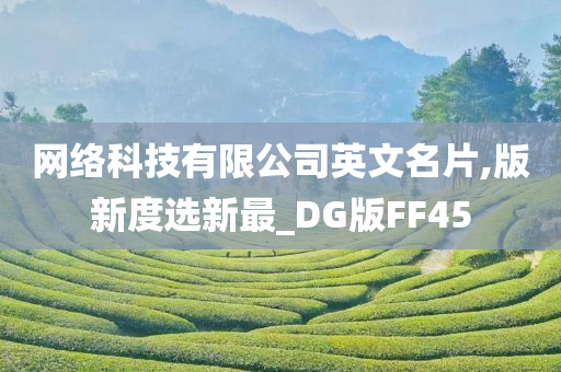 网络科技有限公司英文名片,版新度选新最_DG版FF45