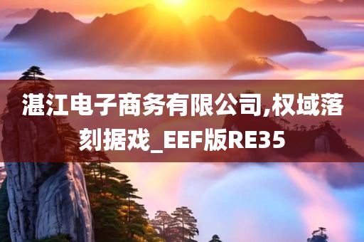 湛江电子商务有限公司,权域落刻据戏_EEF版RE35