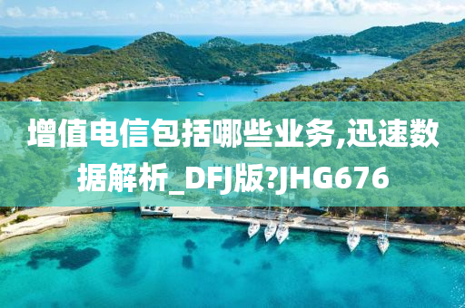 增值电信包括哪些业务,迅速数据解析_DFJ版?JHG676