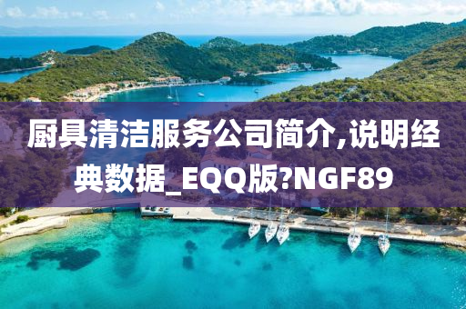 厨具清洁服务公司简介,说明经典数据_EQQ版?NGF89