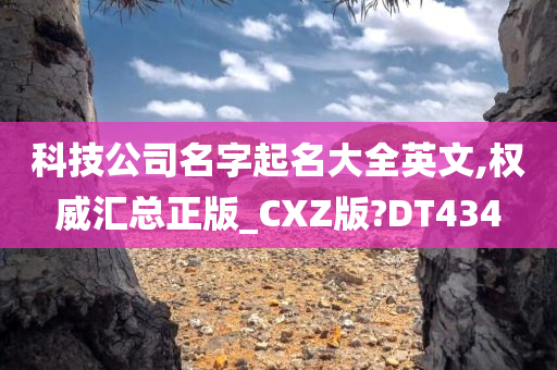 科技公司名字起名大全英文,权威汇总正版_CXZ版?DT434