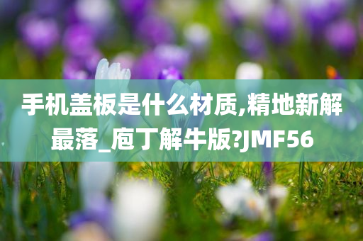 手机盖板是什么材质,精地新解最落_庖丁解牛版?JMF56