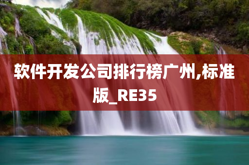 软件开发公司排行榜广州,标准版_RE35