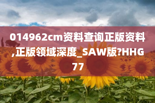 014962cm资料查询正版资料,正版领域深度_SAW版?HHG77