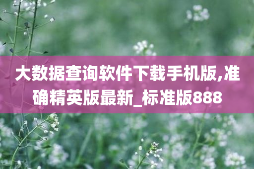 大数据查询软件下载手机版,准确精英版最新_标准版888