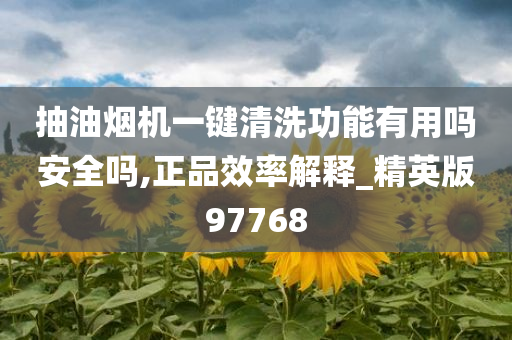 抽油烟机一键清洗功能有用吗安全吗,正品效率解释_精英版97768