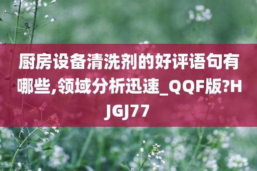 厨房设备清洗剂的好评语句有哪些,领域分析迅速_QQF版?HJGJ77