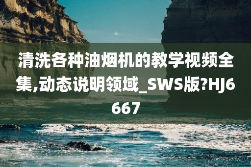 清洗各种油烟机的教学视频全集,动态说明领域_SWS版?HJ6667