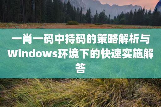 一肖一码中持码的策略解析与Windows环境下的快速实施解答