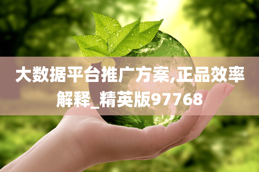 大数据平台推广方案,正品效率解释_精英版97768