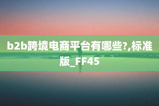 b2b跨境电商平台有哪些?,标准版_FF45