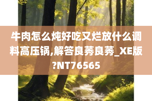 牛肉怎么炖好吃又烂放什么调料高压锅,解答良莠良莠_XE版?NT76565