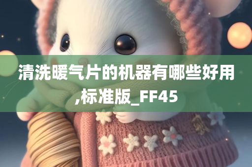 清洗暖气片的机器有哪些好用,标准版_FF45