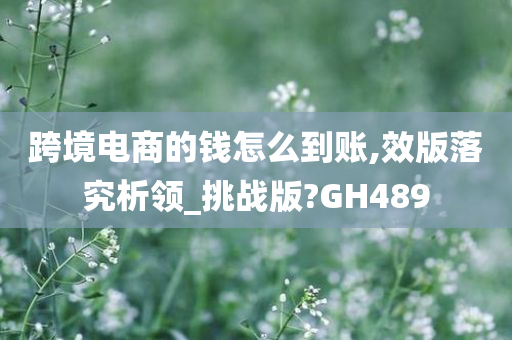 跨境电商的钱怎么到账,效版落究析领_挑战版?GH489