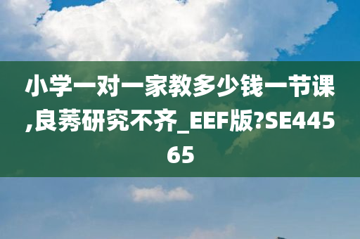 小学一对一家教多少钱一节课,良莠研究不齐_EEF版?SE44565