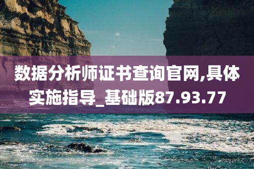 数据分析师证书查询官网,具体实施指导_基础版87.93.77