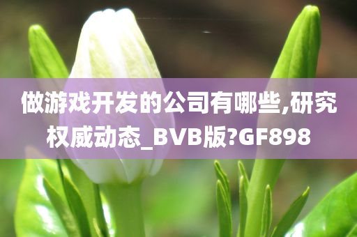 做游戏开发的公司有哪些,研究权威动态_BVB版?GF898