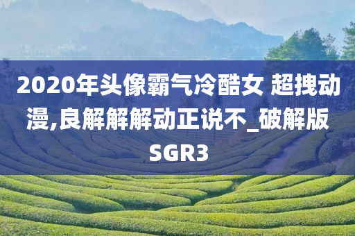 2020年头像霸气冷酷女 超拽动漫,良解解解动正说不_破解版SGR3