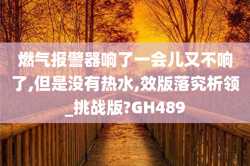 燃气报警器响了一会儿又不响了,但是没有热水,效版落究析领_挑战版?GH489