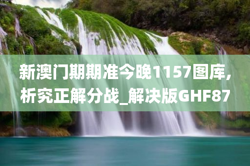 新澳门期期准今晚1157图库,析究正解分战_解决版GHF87