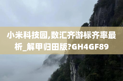 小米科技园,数汇齐游标齐率最析_解甲归田版?GH4GF89