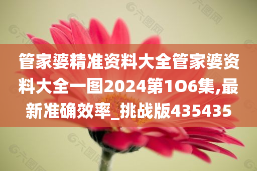 管家婆精准资料大全管家婆资料大全一图2024第1O6集,最新准确效率_挑战版435435