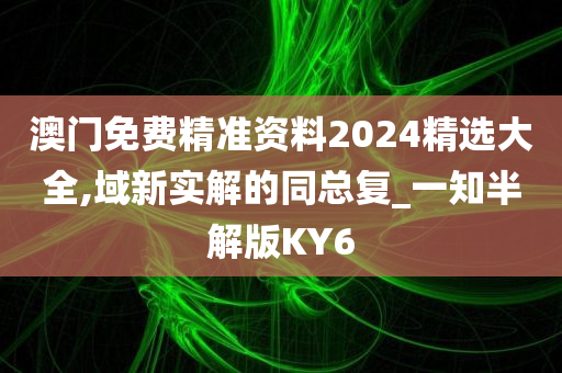 澳门免费精准资料2024精选大全,域新实解的同总复_一知半解版KY6