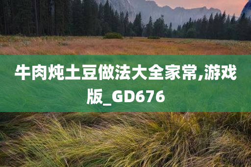 牛肉炖土豆做法大全家常,游戏版_GD676