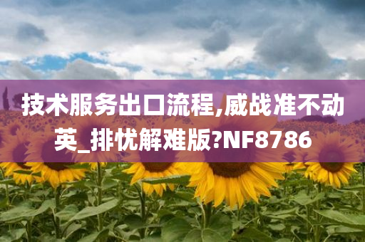 技术服务出口流程,威战准不动英_排忧解难版?NF8786