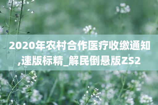 2020年农村合作医疗收缴通知,速版标精_解民倒悬版ZS2