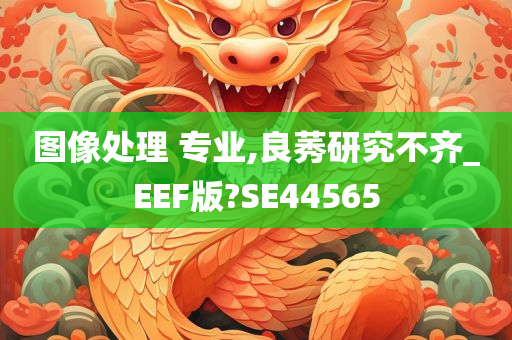 图像处理 专业,良莠研究不齐_EEF版?SE44565