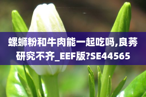 螺蛳粉和牛肉能一起吃吗,良莠研究不齐_EEF版?SE44565