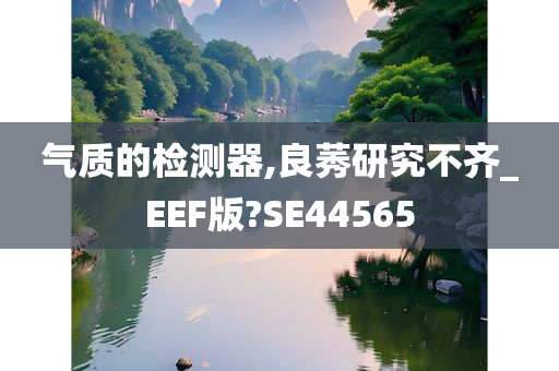 气质的检测器,良莠研究不齐_EEF版?SE44565