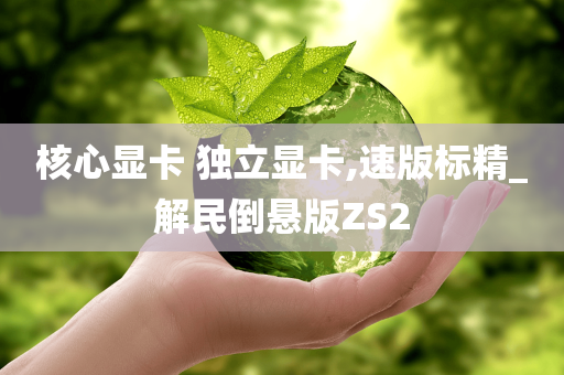 核心显卡 独立显卡,速版标精_解民倒悬版ZS2