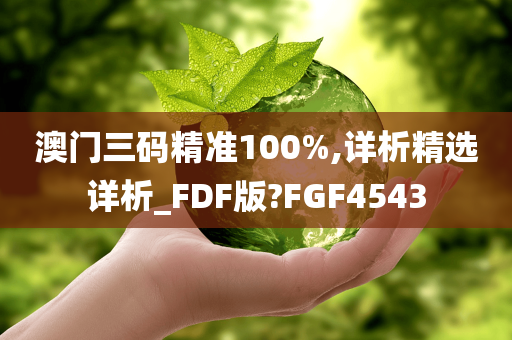 澳门三码精准100%,详析精选详析_FDF版?FGF4543