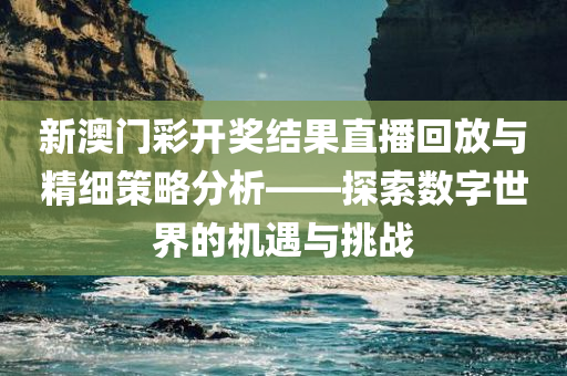 新澳门彩开奖结果直播回放与精细策略分析——探索数字世界的机遇与挑战