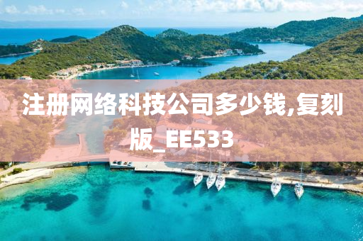 注册网络科技公司多少钱,复刻版_EE533