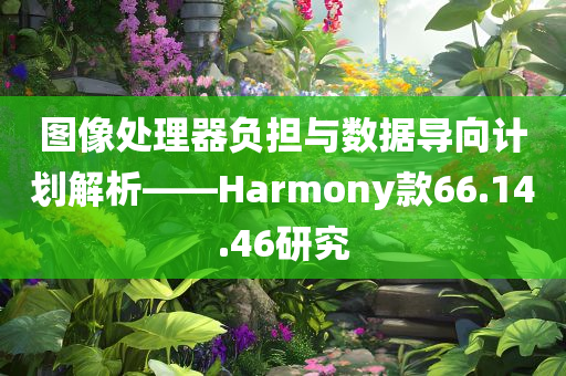 图像处理器负担与数据导向计划解析——Harmony款66.14.46研究