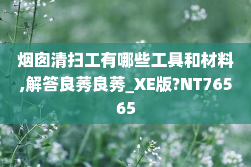 烟囱清扫工有哪些工具和材料,解答良莠良莠_XE版?NT76565