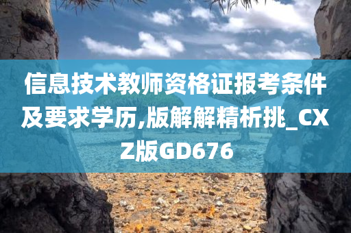 信息技术教师资格证报考条件及要求学历,版解解精析挑_CXZ版GD676